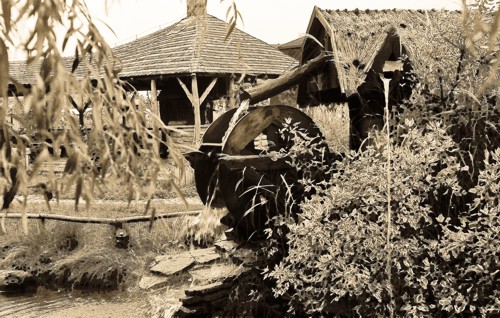 Foto